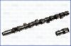 VW 074109101A Camshaft